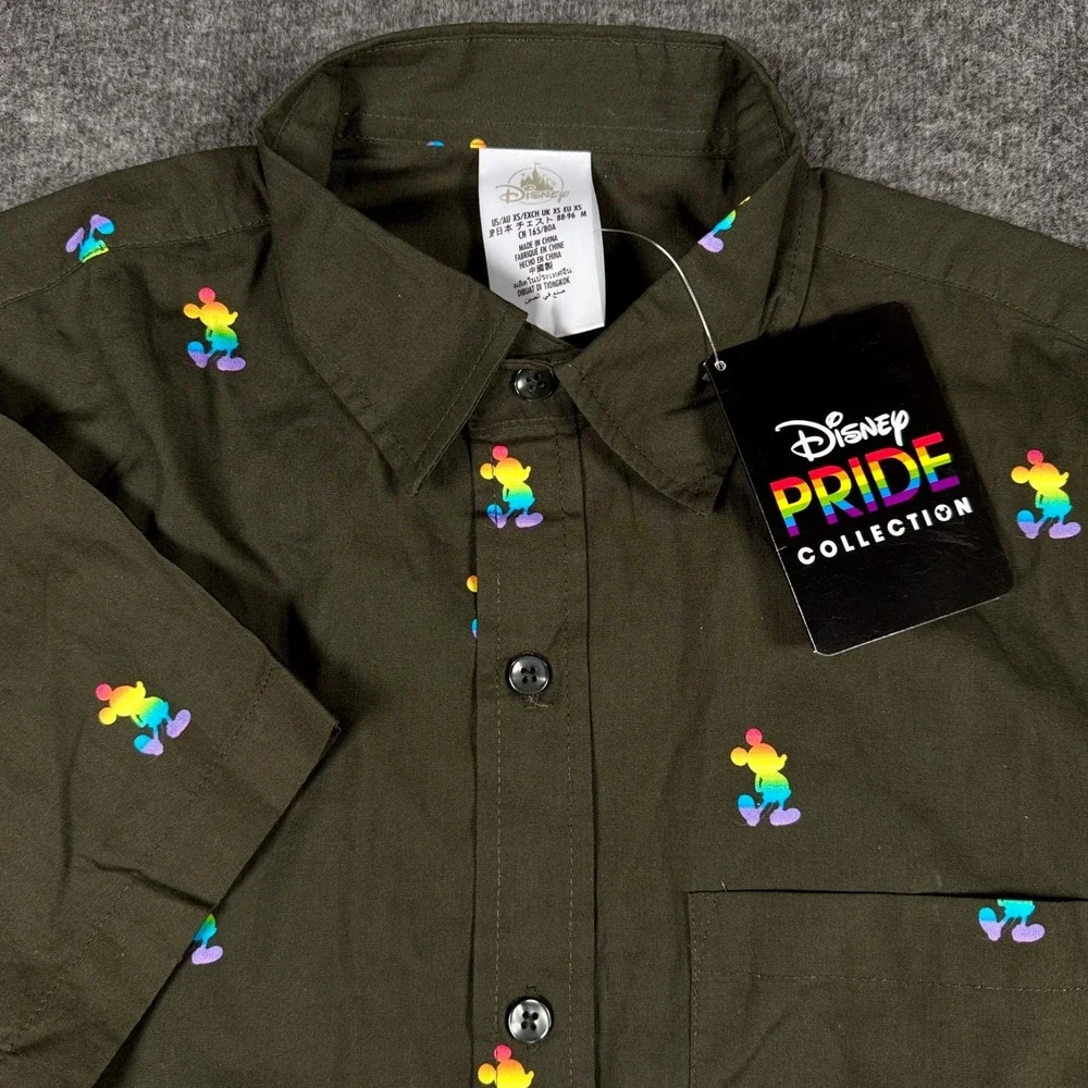 Disney measurements pit